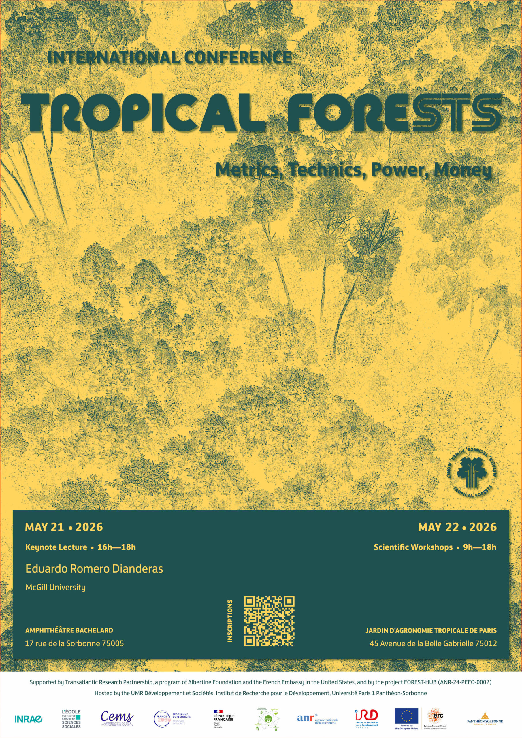 Tropical forests